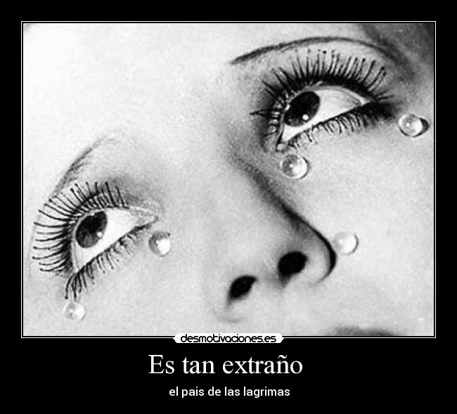 carteles principito desmotivaciones