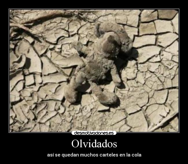 Olvidados - 