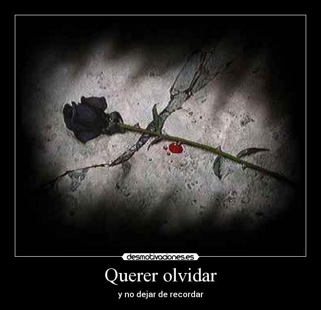 Querer olvidar - 