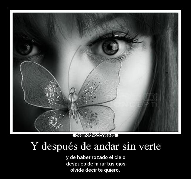 Y después de andar sin verte - y de haber rozado el cielo
despues de mirar tus ojos
olvide decir te quiero. 