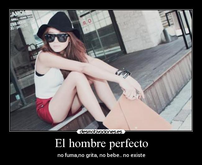 El hombre perfecto -