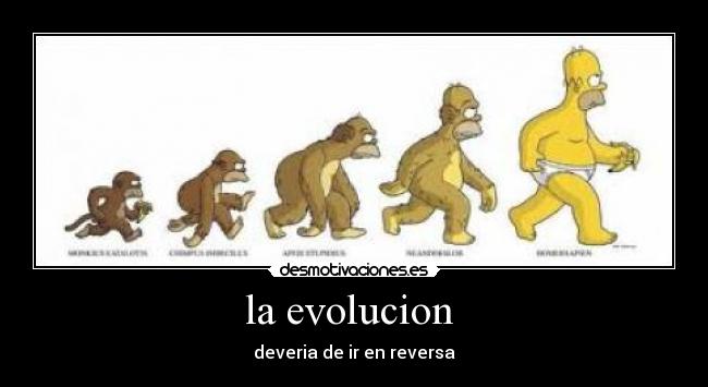 la evolucion  - 