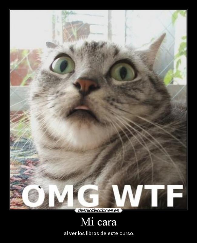 Mi cara - al ver los libros de este curso.