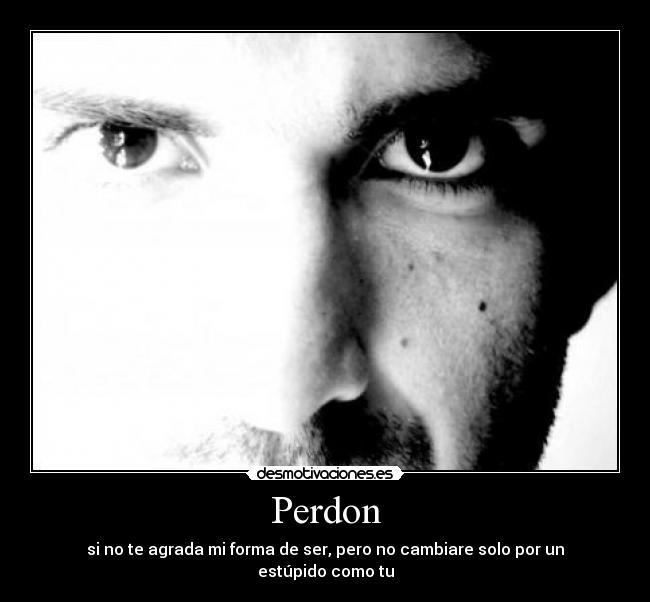 Perdon - 