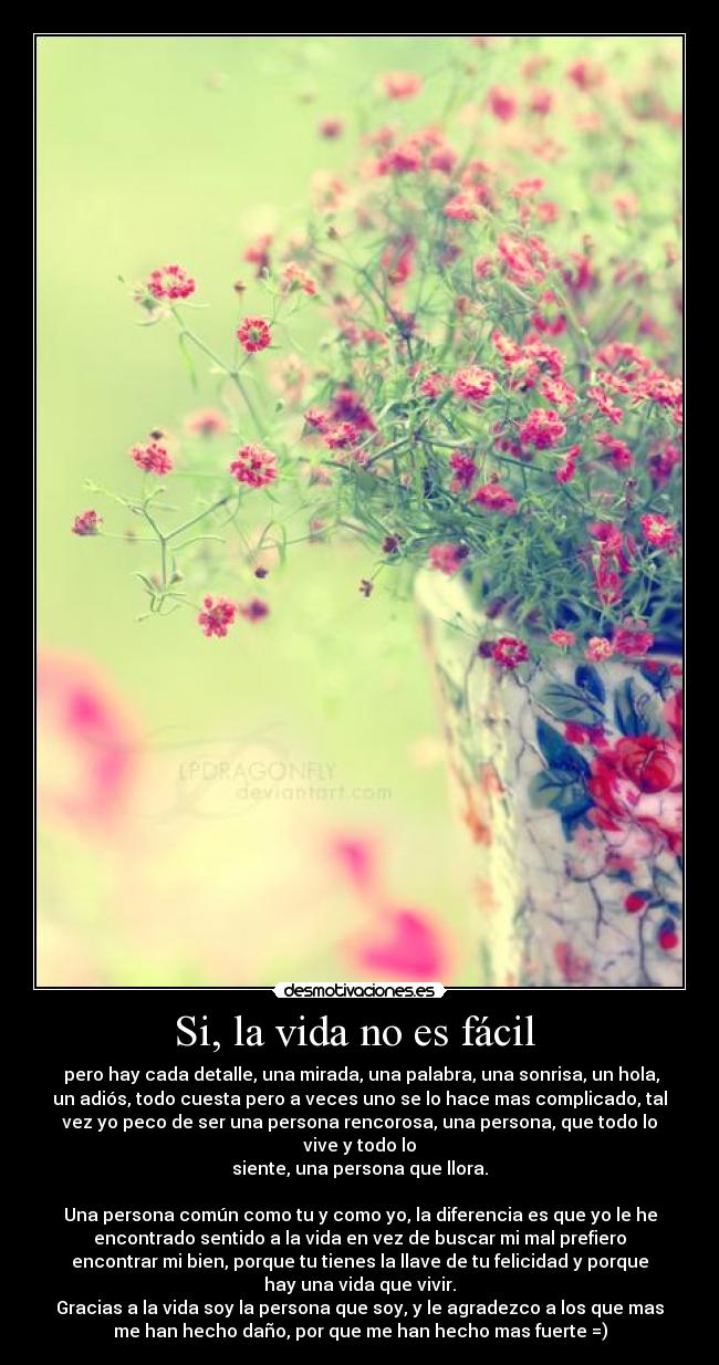 Si, la vida no es fácil -