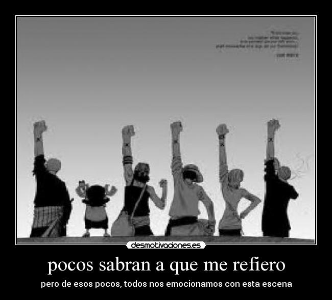carteles one piece desmotivaciones