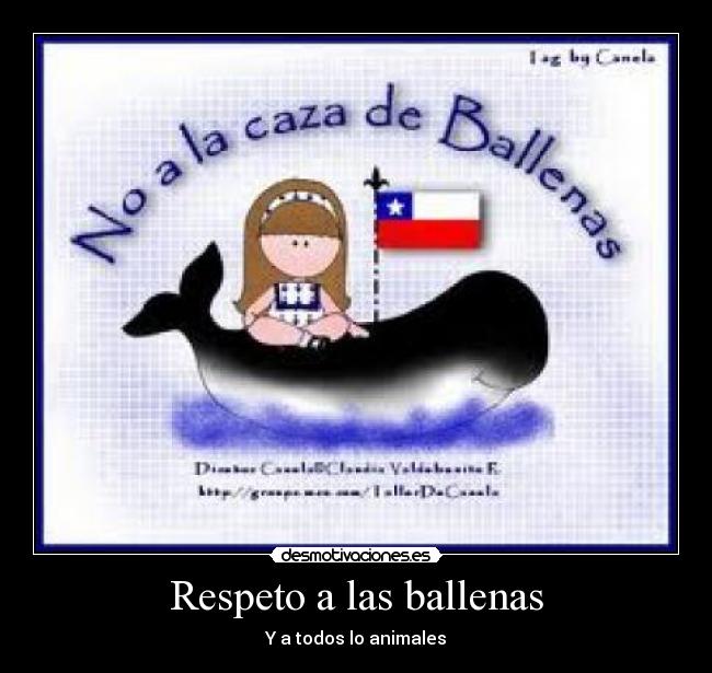 Respeto a las ballenas -