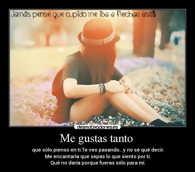 Me gustas tanto  - 