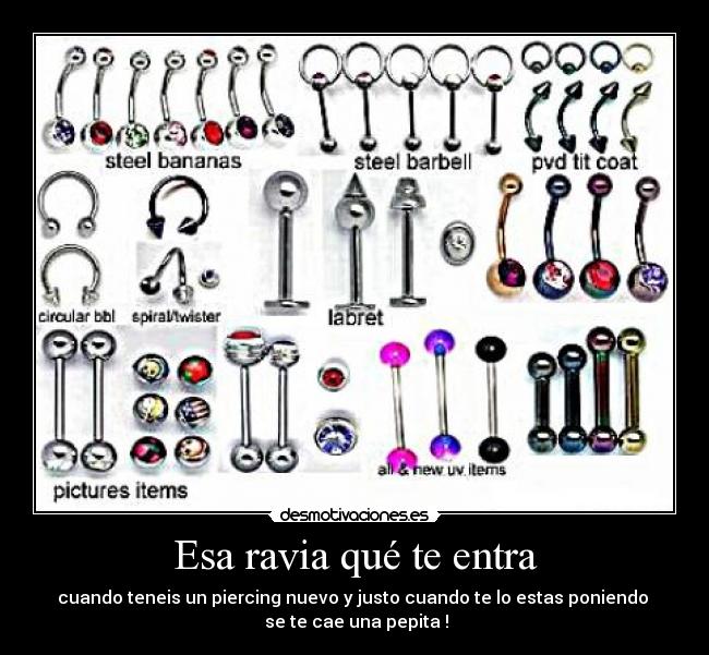 Esa ravia qué te entra - cuando teneis un piercing nuevo y justo cuando te lo estas poniendo
se te cae una pepita !