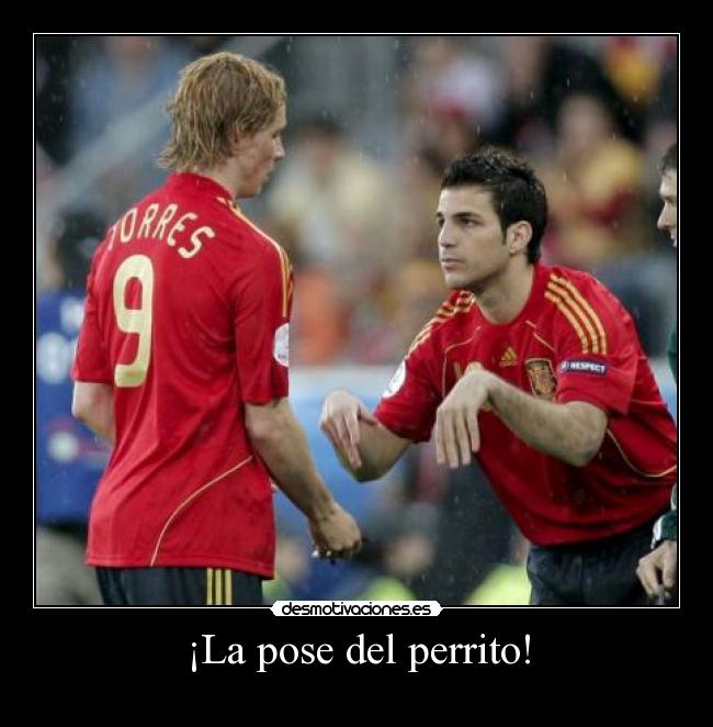 ¡La pose del perrito! - 