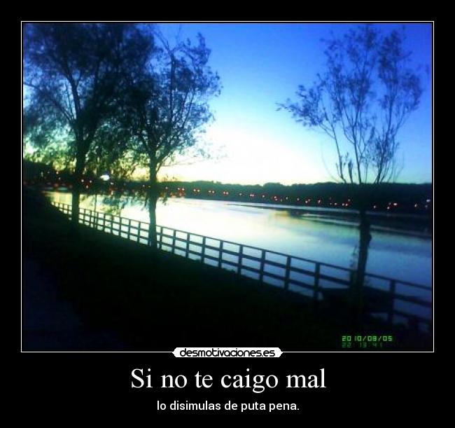 Si no te caigo mal -