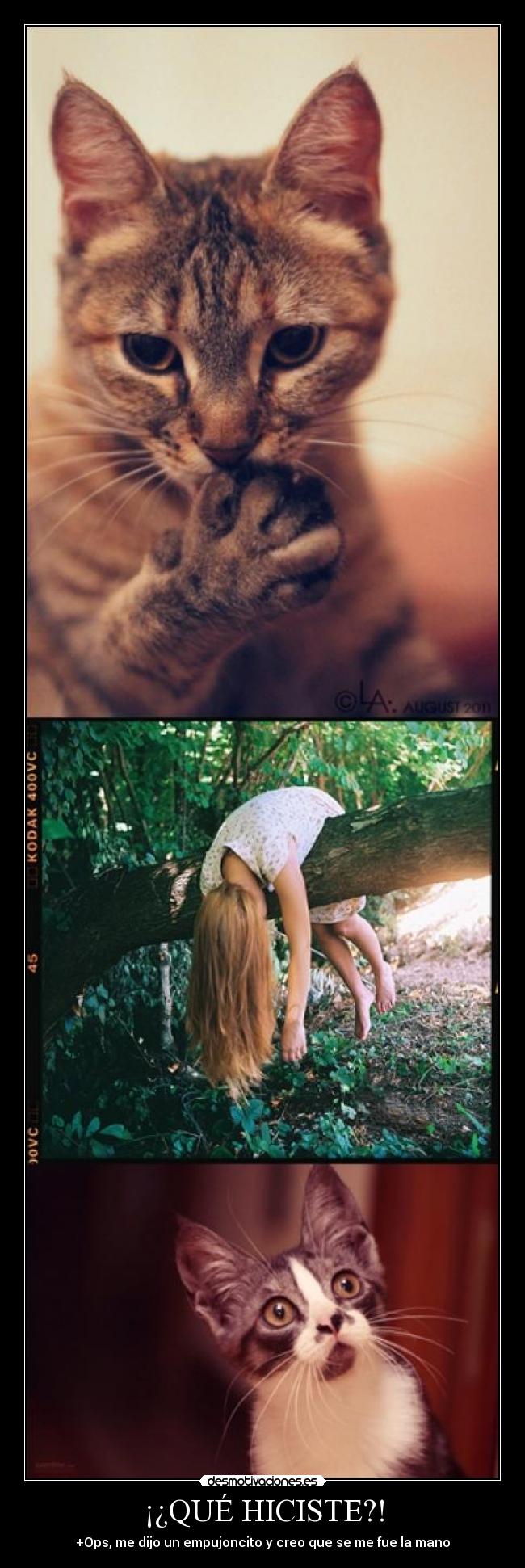 ¡¿QUÉ HICISTE?! - +Ops, me dijo un empujoncito y creo que se me fue la mano