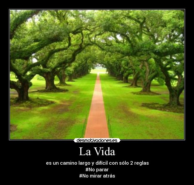 La Vida -