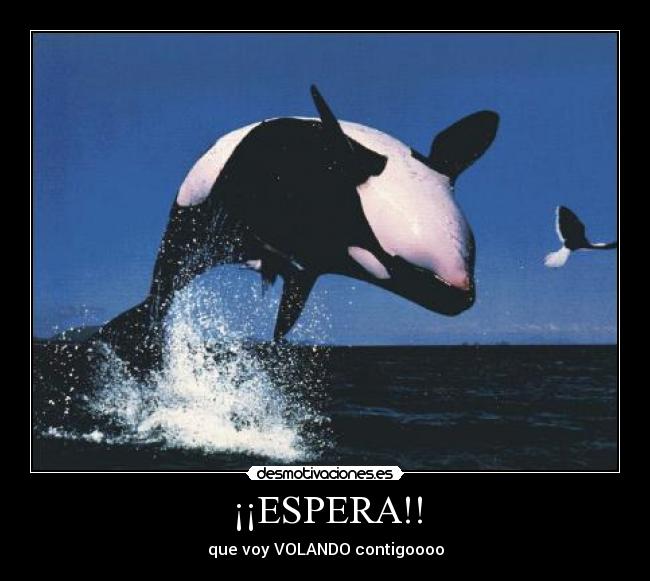 ¡¡ESPERA!! - que voy VOLANDO contigoooo