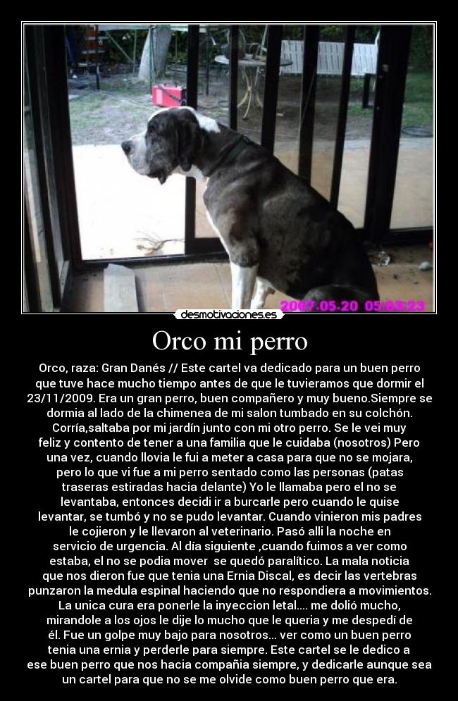Orco mi perro - 