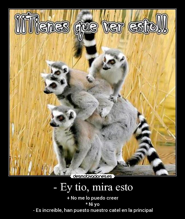 - Ey tio, mira esto - 