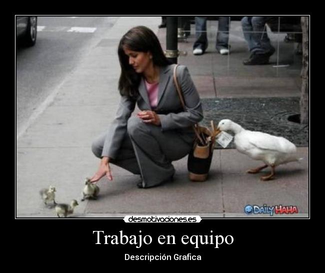 Trabajo en equipo - 