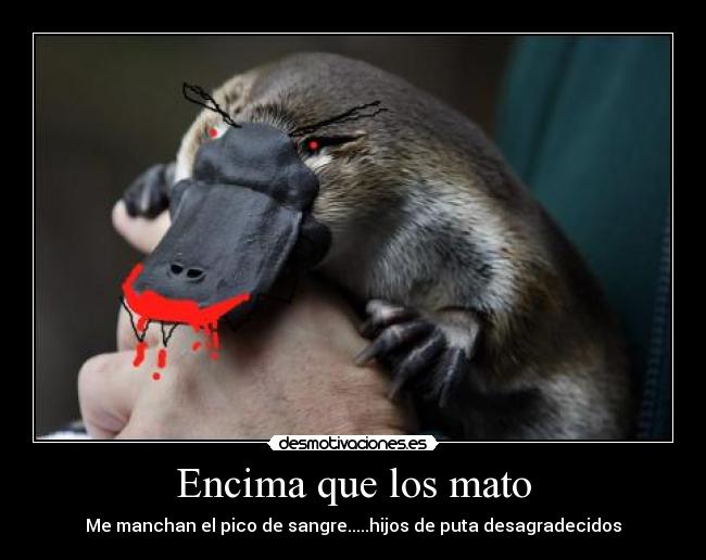 Encima que los mato -