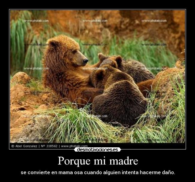 Porque mi madre - se convierte en mama osa cuando alguien intenta hacerme daño.