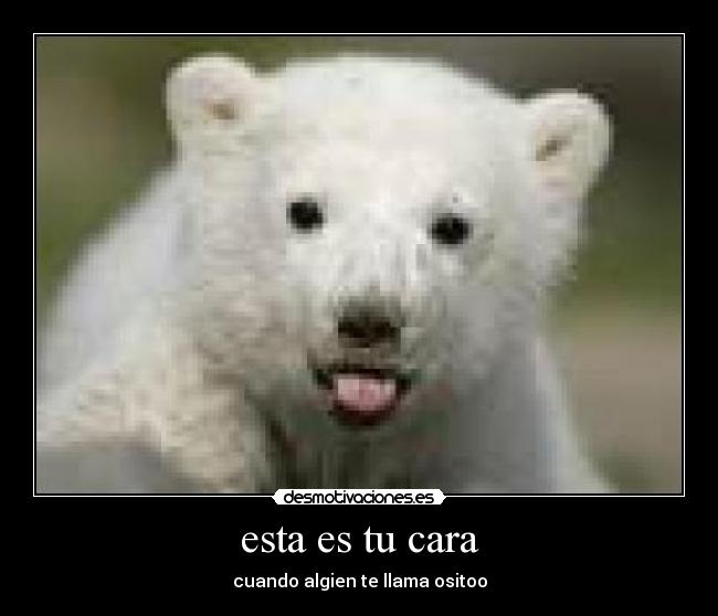 esta es tu cara - cuando algien te llama ositoo