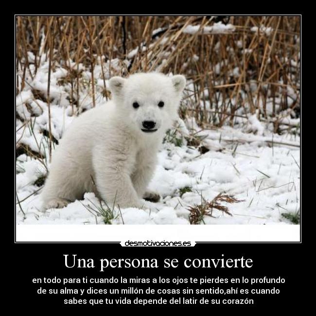 Una persona se convierte - en todo para ti cuando la miras a los ojos te pierdes en lo profundo
de su alma y dices un millón de cosas sin sentido,ahí es cuando
sabes que tu vida depende del latir de su corazón