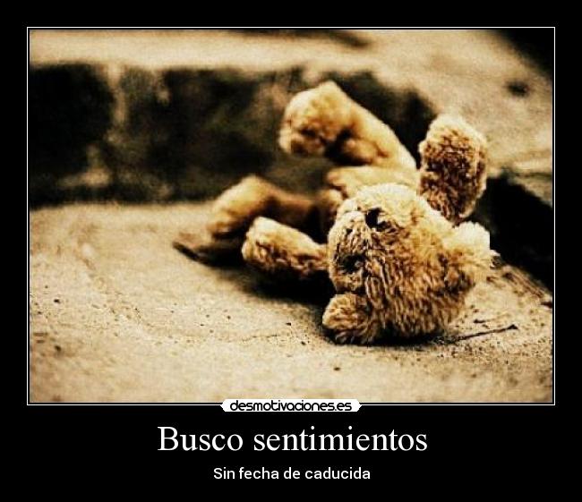 carteles sentimientos sentimientos desmotivaciones