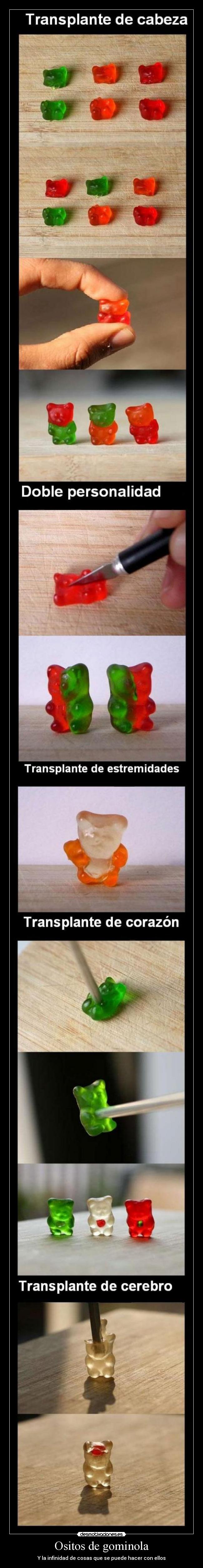 Ositos de gominola - Y la infinidad de cosas que se puede hacer con ellos