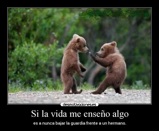 Si la vida me enseño algo - es a nunca bajar la guardia frente a un hermano.