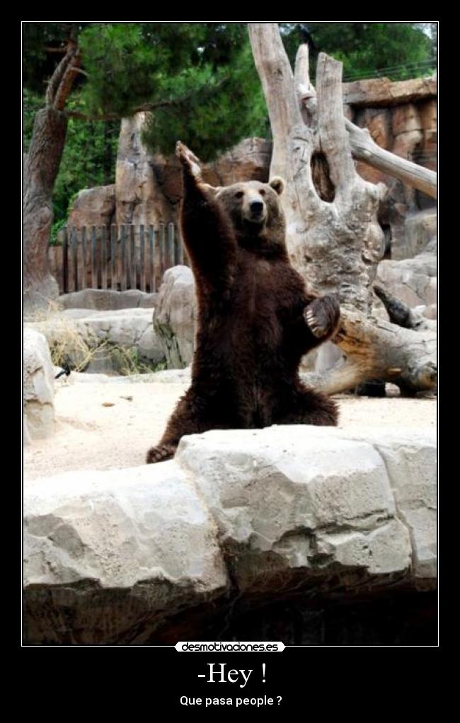 -Hey ! - Que pasa people ?