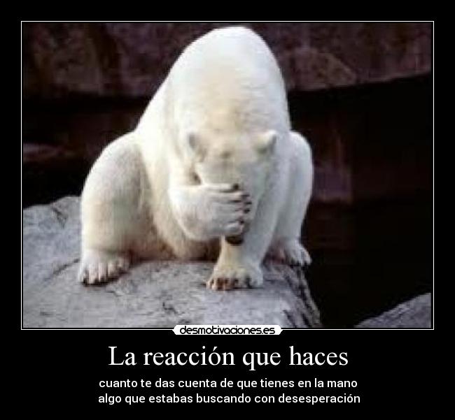 La reacción que haces - 