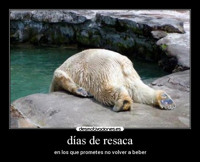 días de resaca - en los que prometes no volver a beber