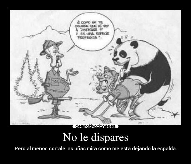 No le dispares - Pero al menos cortale las uñas mira como me esta dejando la espalda.
