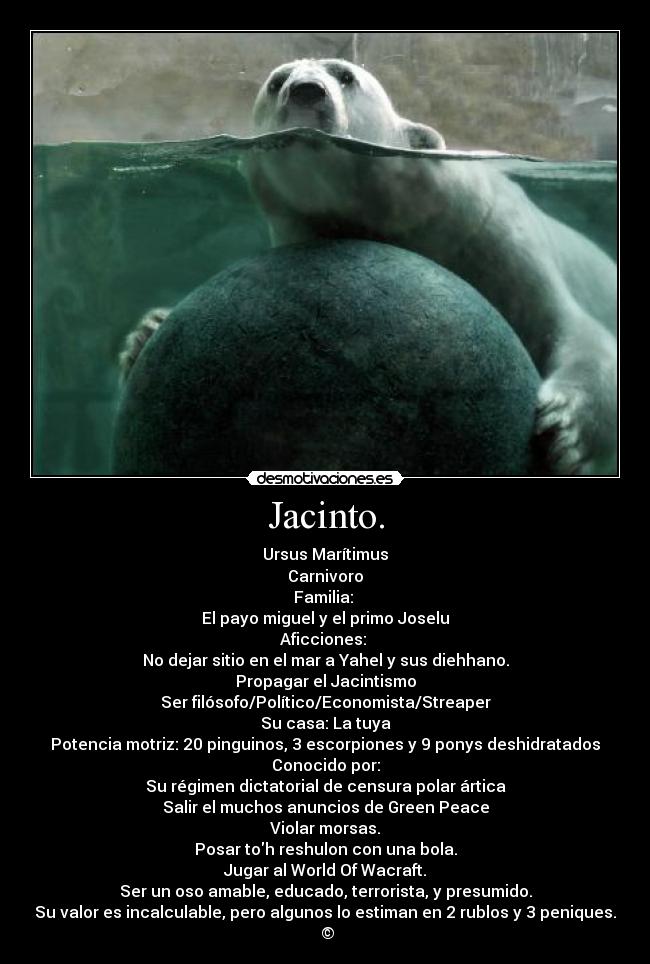 Jacinto. - Ursus Marítimus
Carnivoro
Familia: 
El payo miguel y el primo Joselu
Aficciones: 
No dejar sitio en el mar a Yahel y sus diehhano.
Propagar el Jacintismo
Ser filósofo/Político/Economista/Streaper
Su casa: La tuya
Potencia motriz: 20 pinguinos, 3 escorpiones y 9 ponys deshidratados
Conocido por:
Su régimen dictatorial de censura polar ártica
Salir el muchos anuncios de Green Peace
Violar morsas.
Posar toh reshulon con una bola.
Jugar al World Of Wacraft.
Ser un oso amable, educado, terrorista, y presumido.
Su valor es incalculable, pero algunos lo estiman en 2 rublos y 3 peniques.
 ©