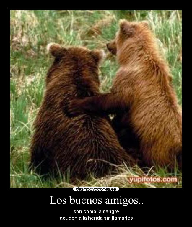 Los buenos amigos.. - 