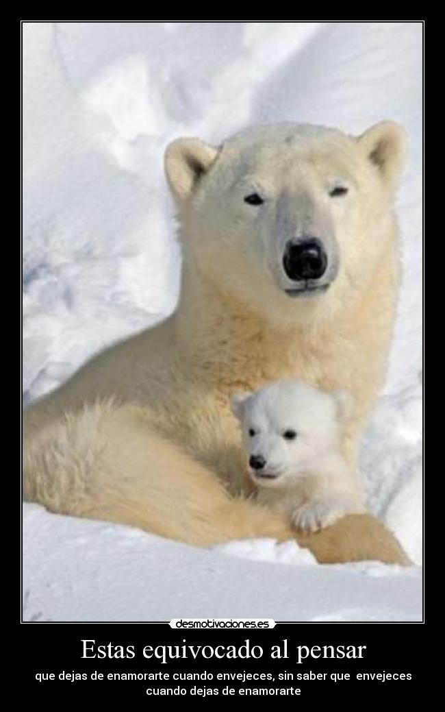 Estas equivocado al pensar -