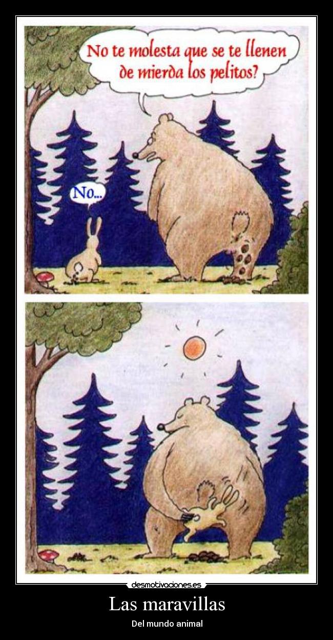 Las maravillas - Del mundo animal