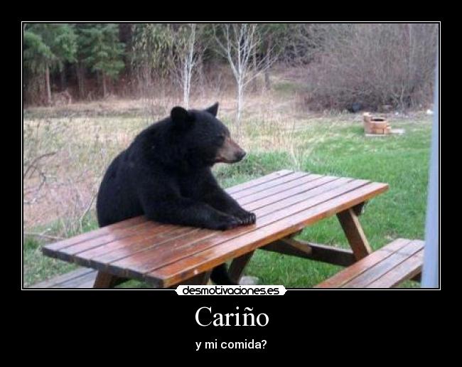 Cariño - y mi comida?