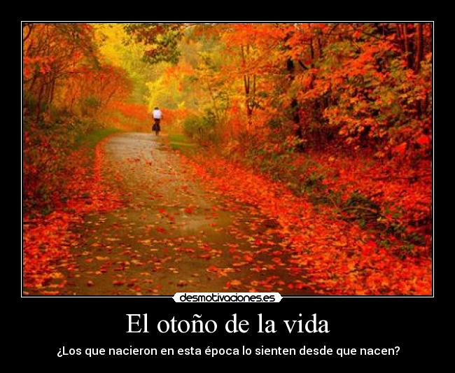 El otoño de la vida | Desmotivaciones