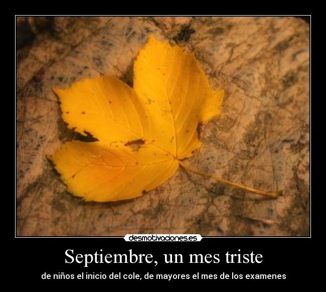 carteles septiembre desmotivaciones