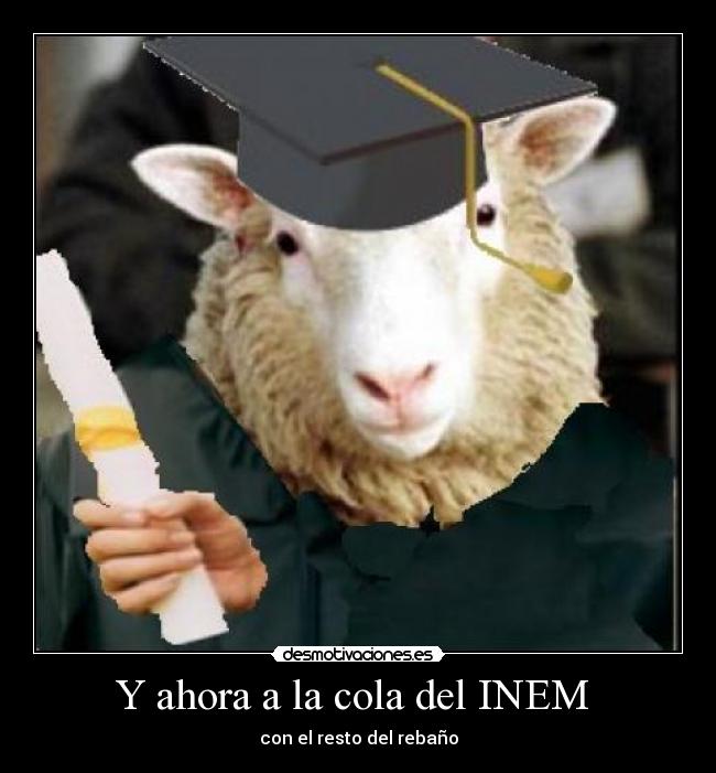 carteles gracias faure por montaje profesional necesitais algo tiene una empresa montajes desmotivaciones