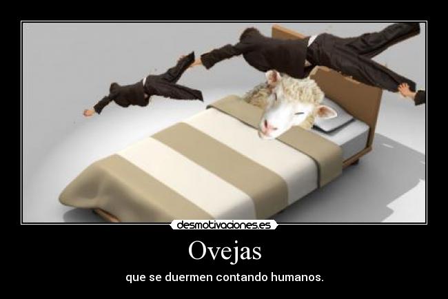 Ovejas - que se duermen contando humanos.