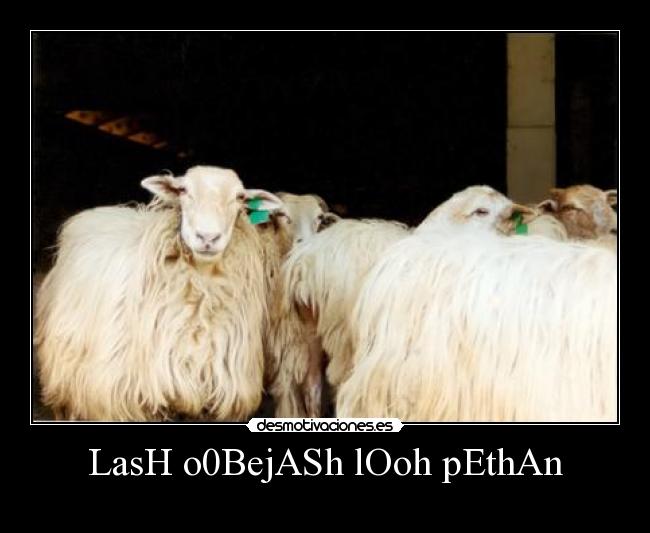 LasH o0BejASh lOoh pEthAn - 