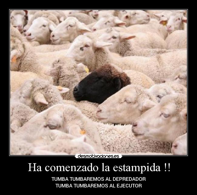 Ha comenzado la estampida !! - TUMBA TUMBAREMOS AL DEPREDADOR
TUMBA TUMBAREMOS AL EJECUTOR