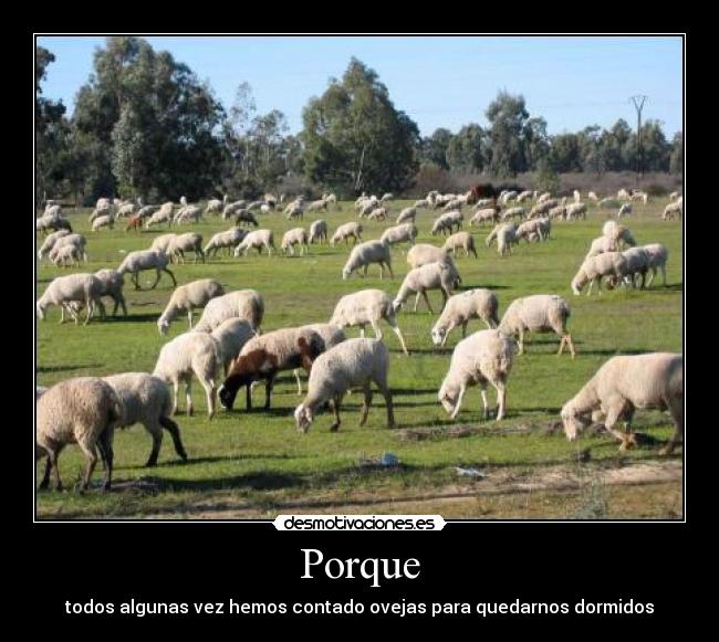 carteles tamara1695 desmotivaciones