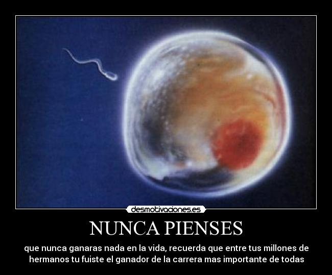 NUNCA PIENSES - que nunca ganaras nada en la vida, recuerda que entre tus millones de
hermanos tu fuiste el ganador de la carrera mas importante de todas