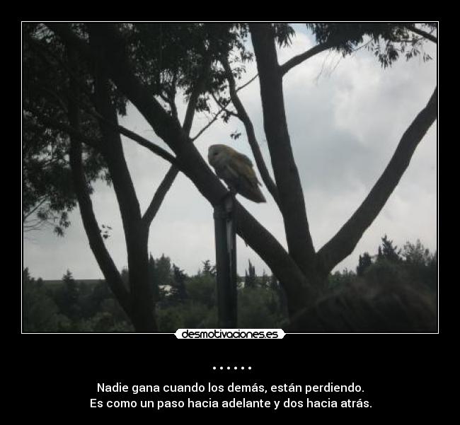 ...... - Nadie gana cuando los demás, están perdiendo.
Es como un paso hacia adelante y dos hacia atrás.