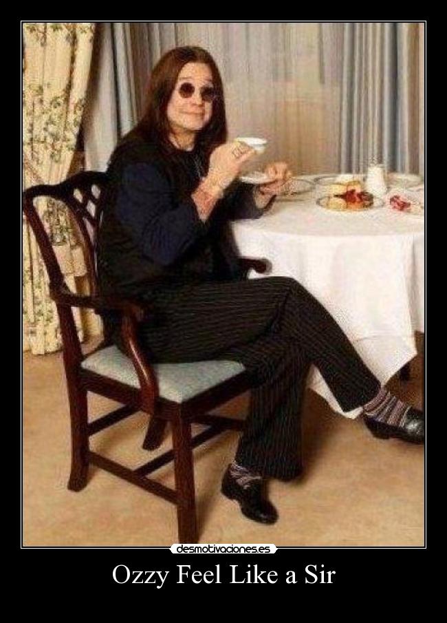 Ozzy Feel Like a Sir -