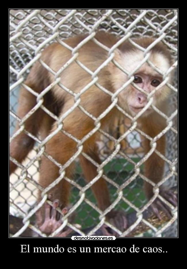 El mundo es un mercao de caos.. - 