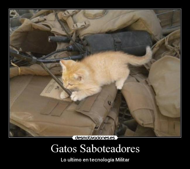 Gatos Saboteadores - Lo ultimo en tecnología Militar