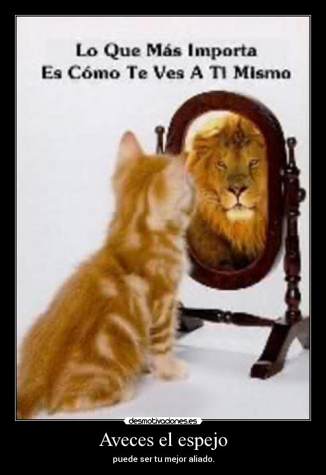 Aveces el espejo -